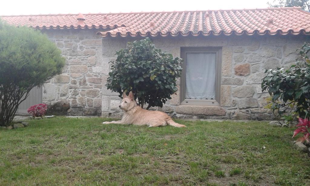 Casa Maria Da Assuncao Villa Vila Nova de Cerveira Ruang foto
